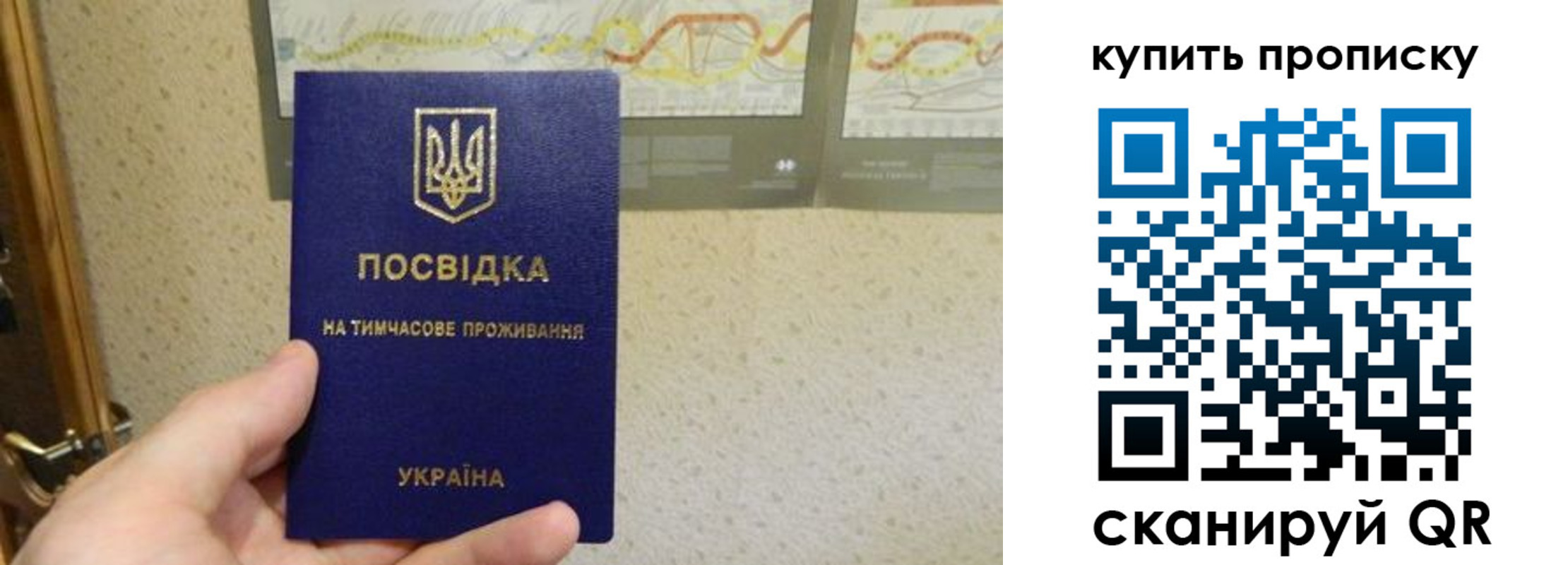 временная регистрация поиск в Краснокамске